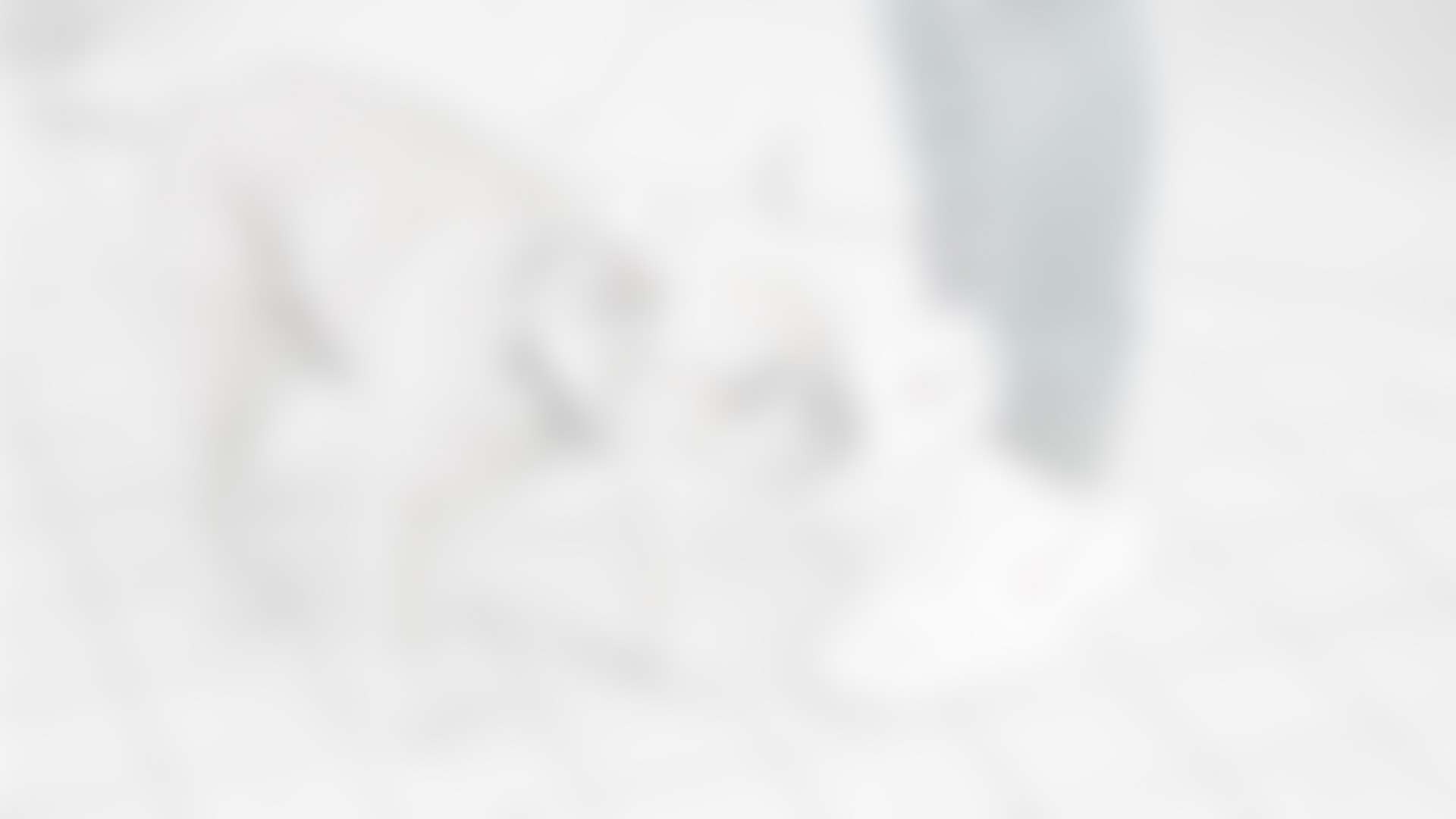 We are loving details, and deliver handmade masterpieces.